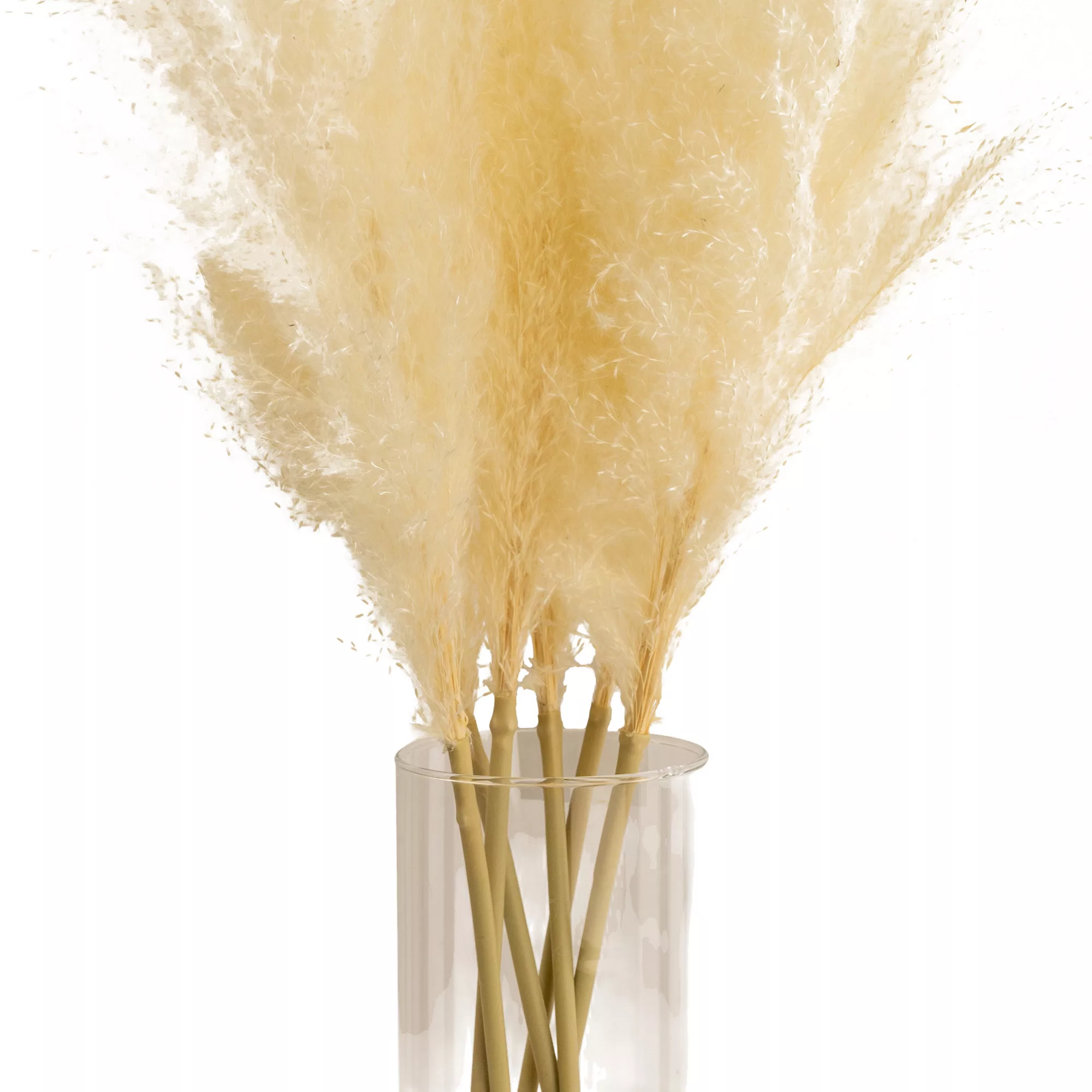 64cm White Pampas Grass Artificial Plant In Clear Glass Vase - Image 2