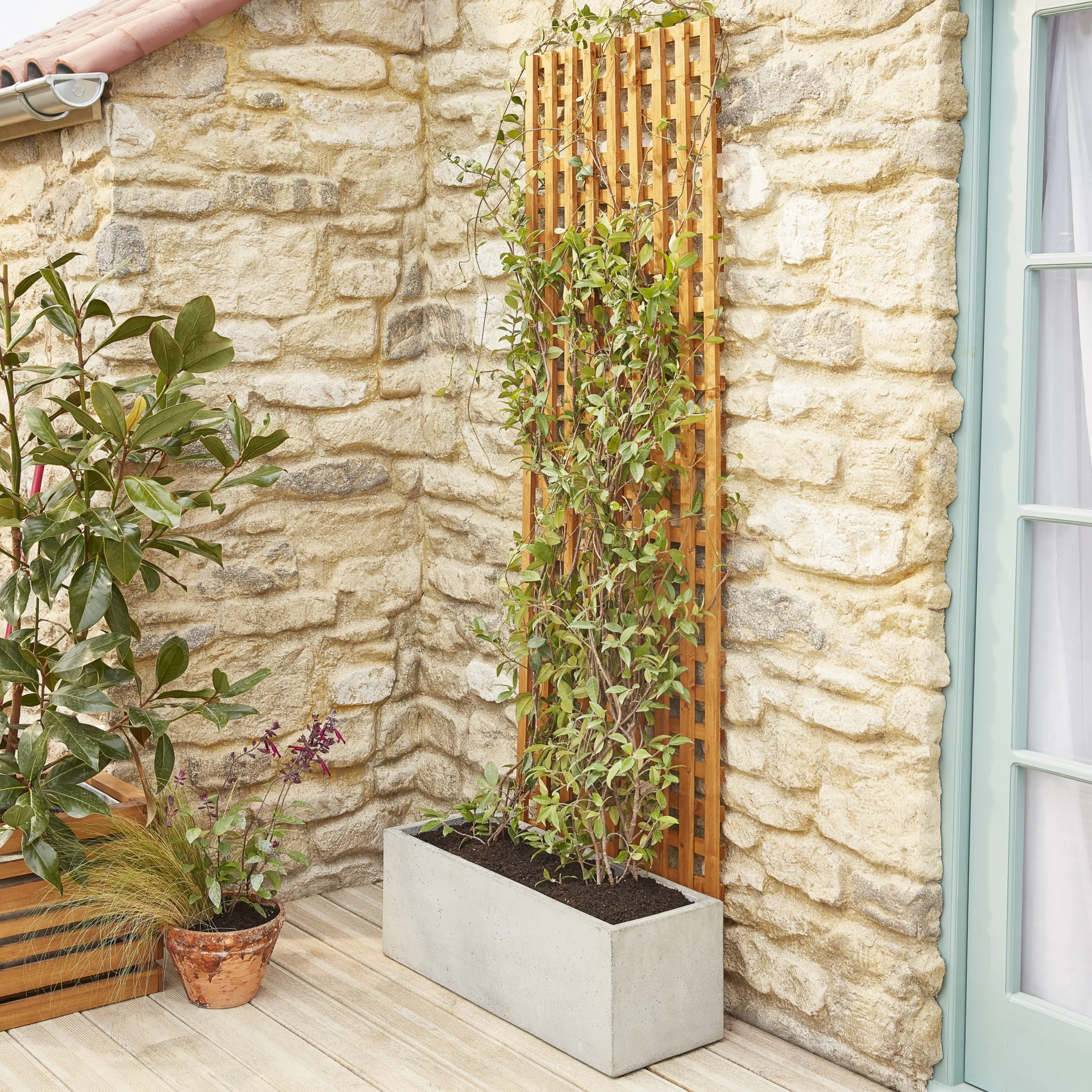 6ft Pine Trellis Panel (W)122cm X (H)183cm - Image 5