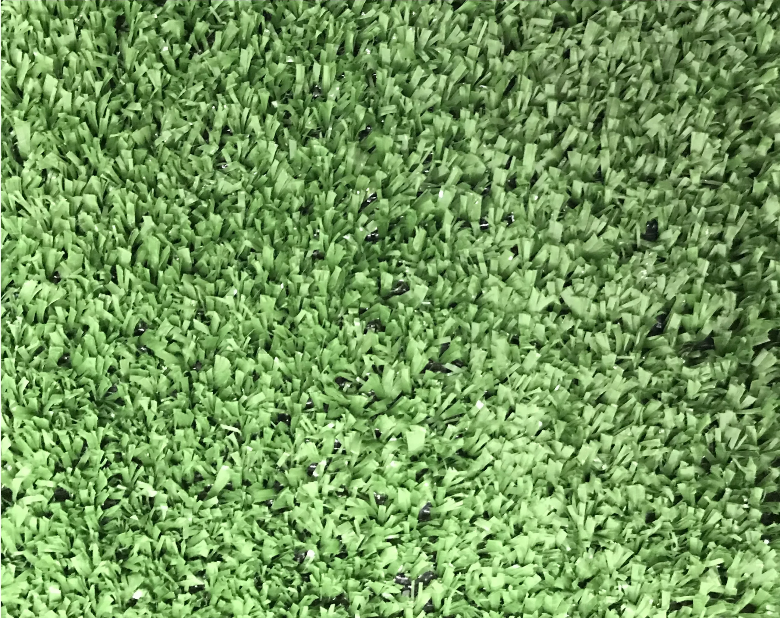Boronia High Density Artificial Grass (L)4m (W)1m (T)7mm