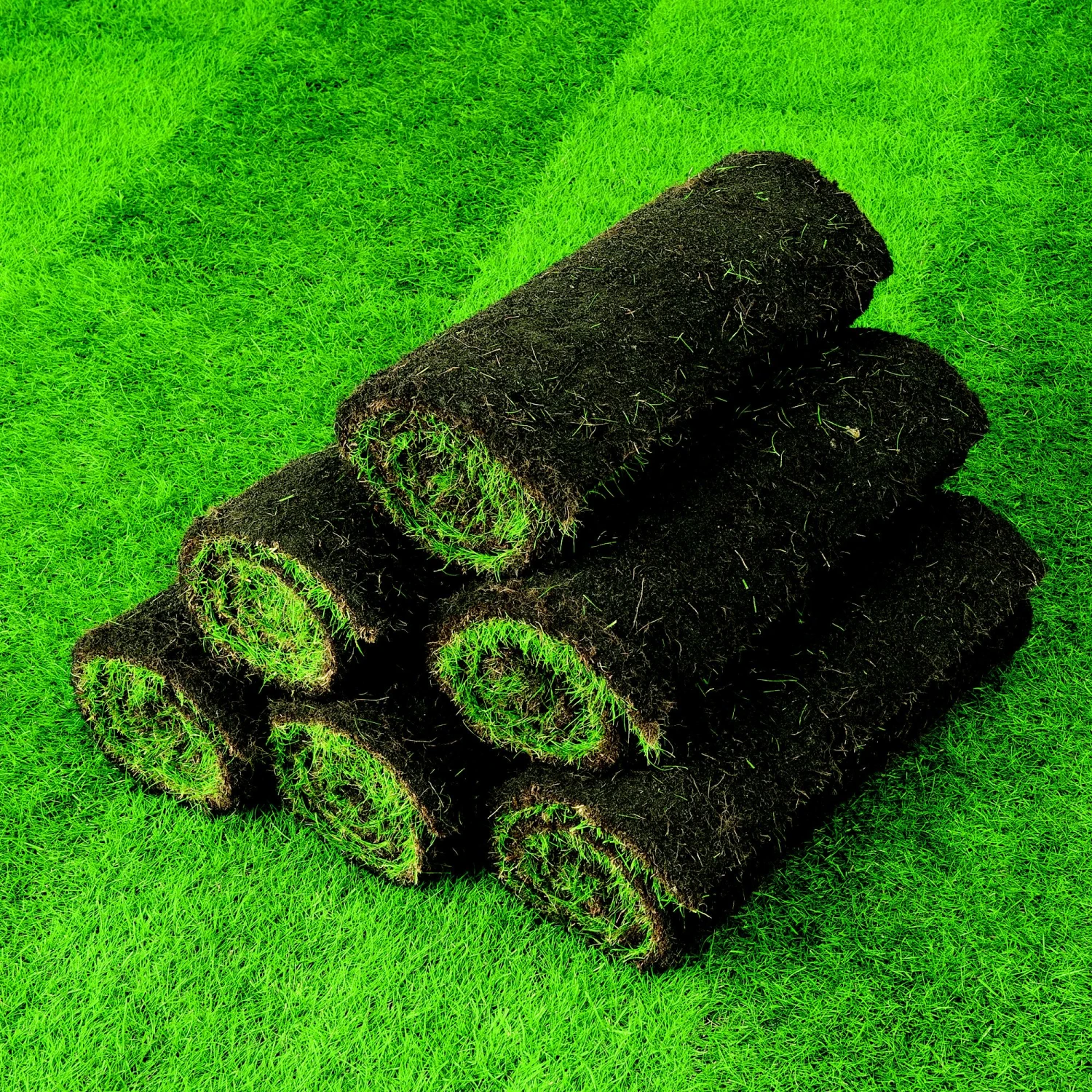 Lawn Turf, 33m² Pack - Image 6