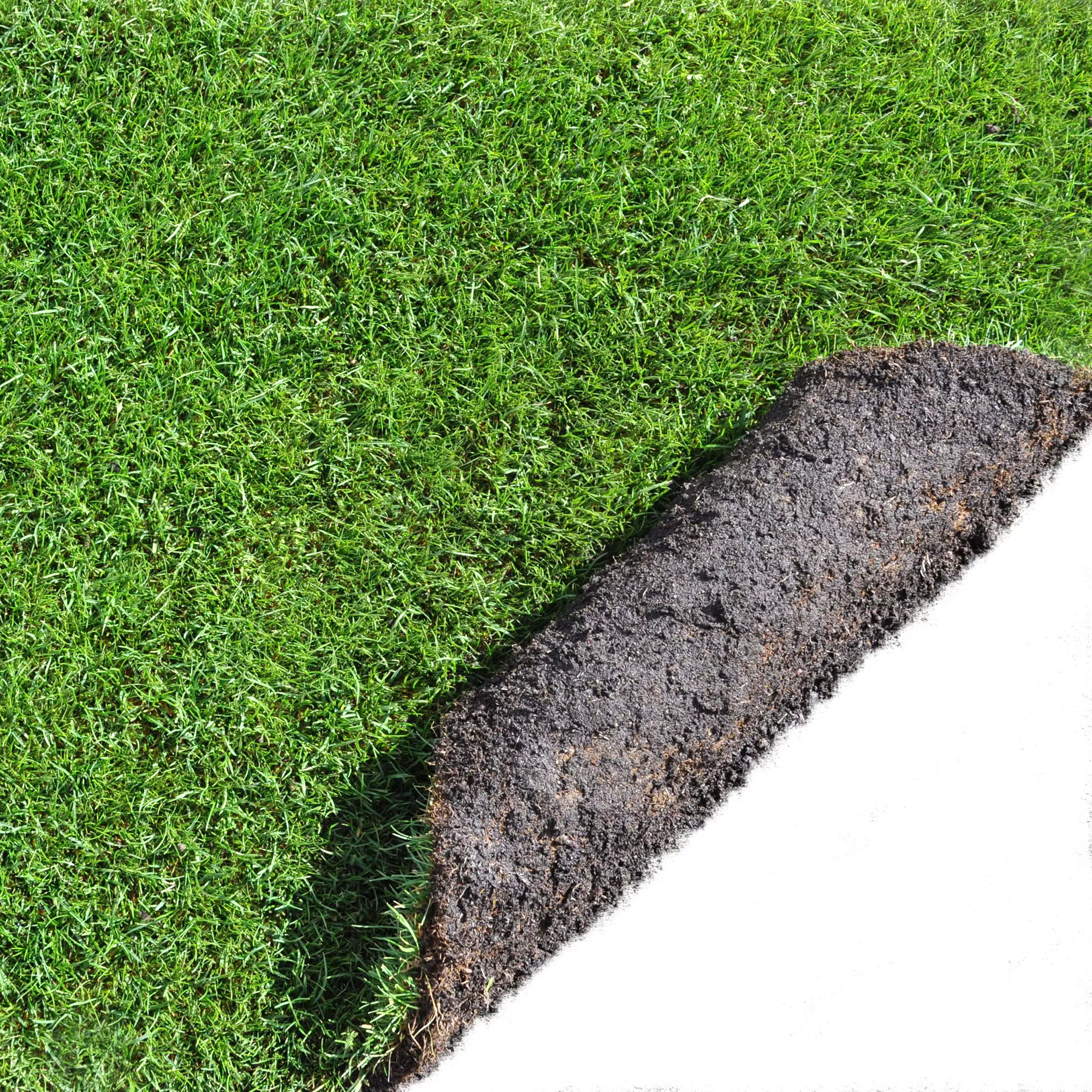 Lawn Turf, 33m² Pack - Image 2