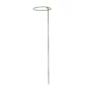 Panacea Steel Single Stem Plant Support (L)75cm (Dia)15cm, Pack Of 3