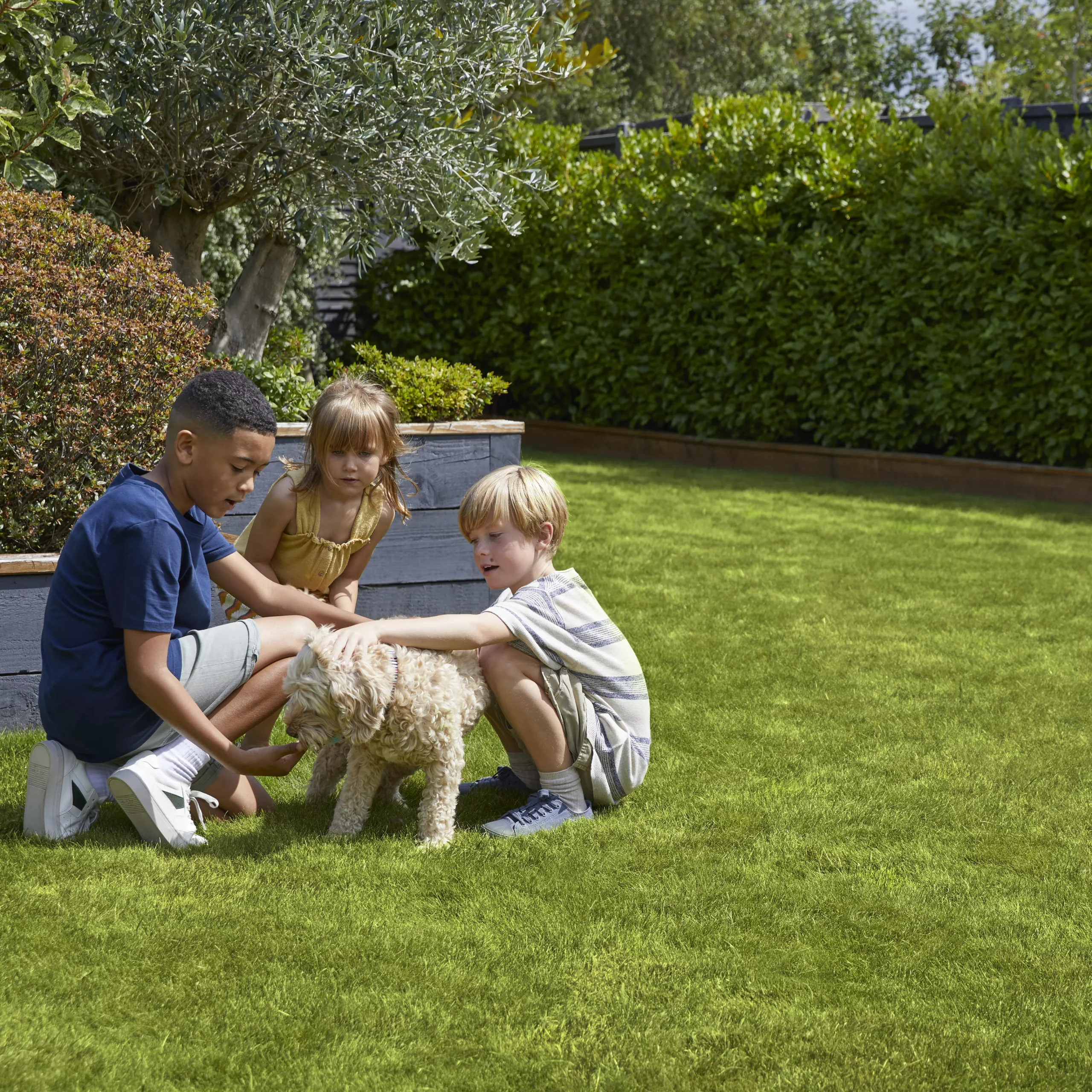 Verve Family & Sports Grass Seeds, 1.5kg - Image 6