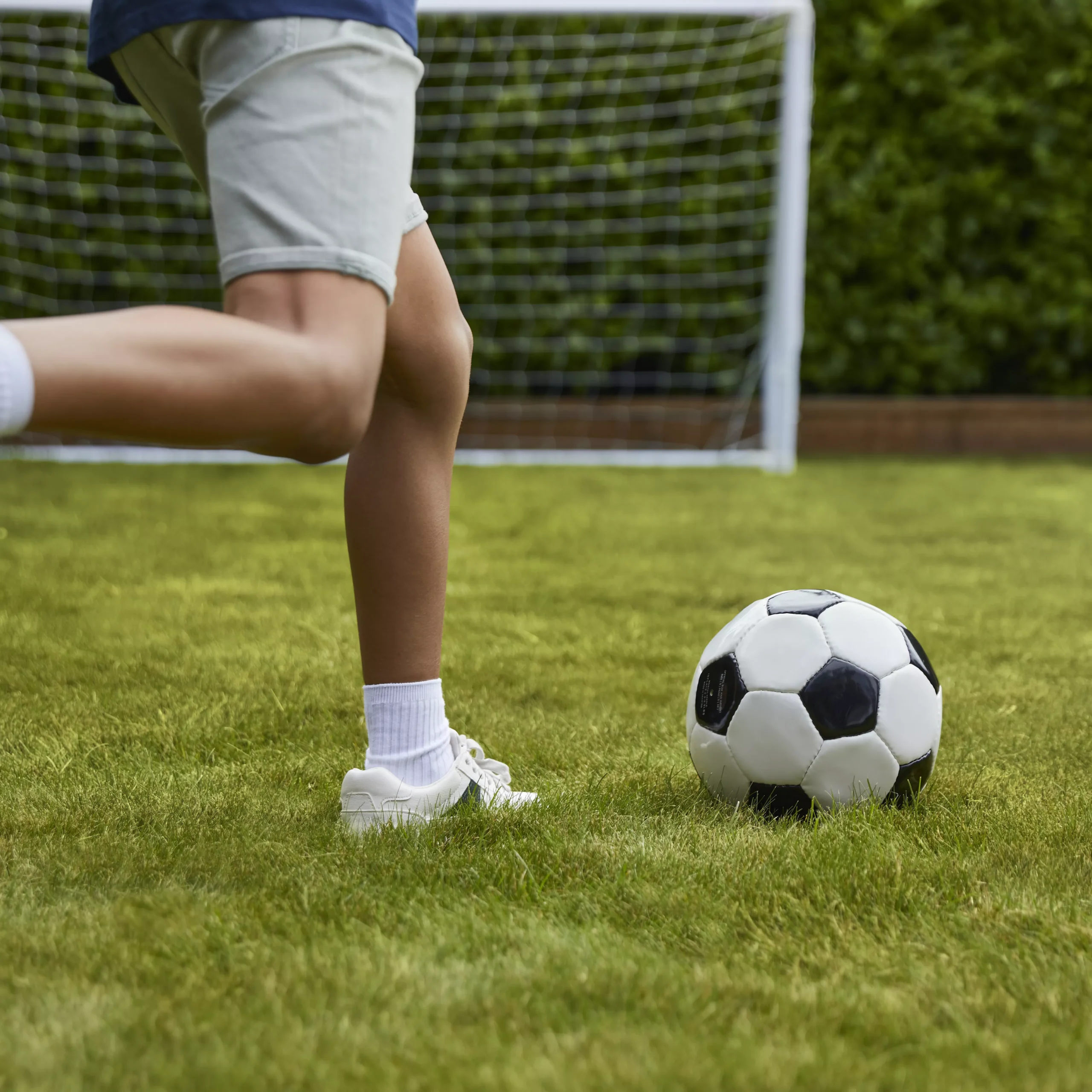 Verve Family & Sports Grass Seeds, 1.5kg - Image 8