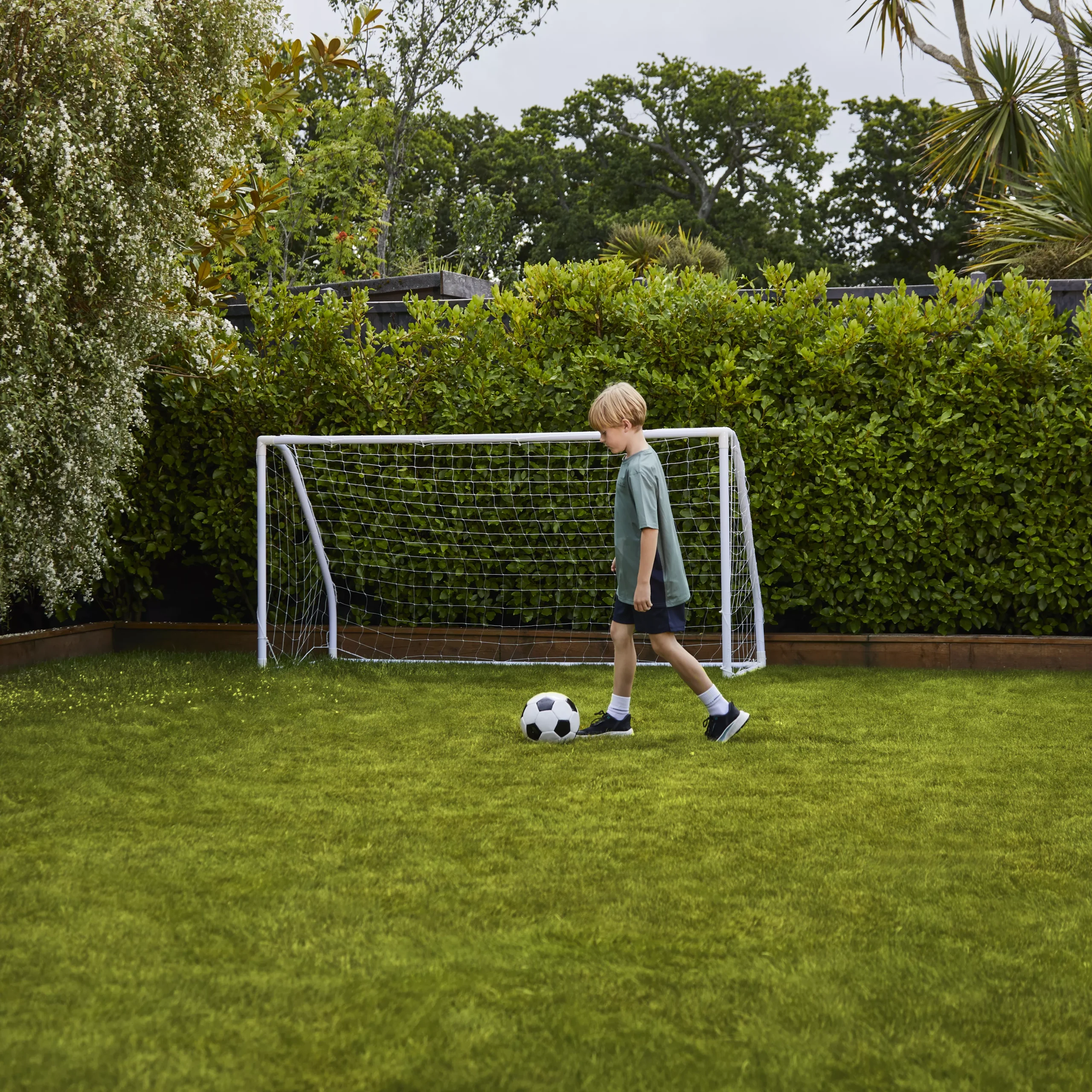 Verve Family & Sports Grass Seeds, 1.5kg - Image 9