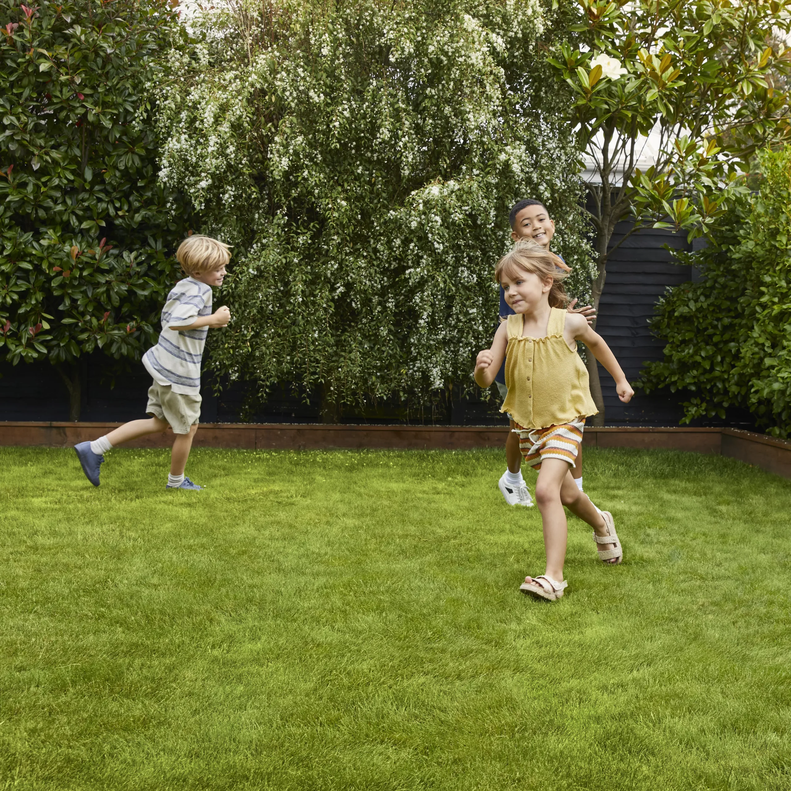 Verve Family & Sports Grass Seeds, 10kg - Image 3