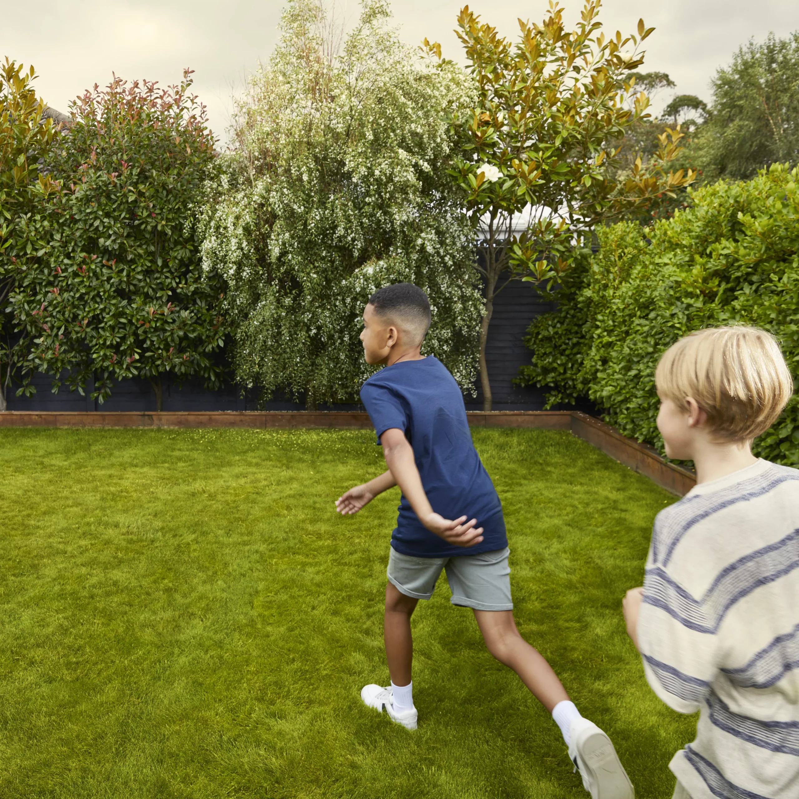 Verve Family & Sports Grass Seeds, 10kg - Image 4