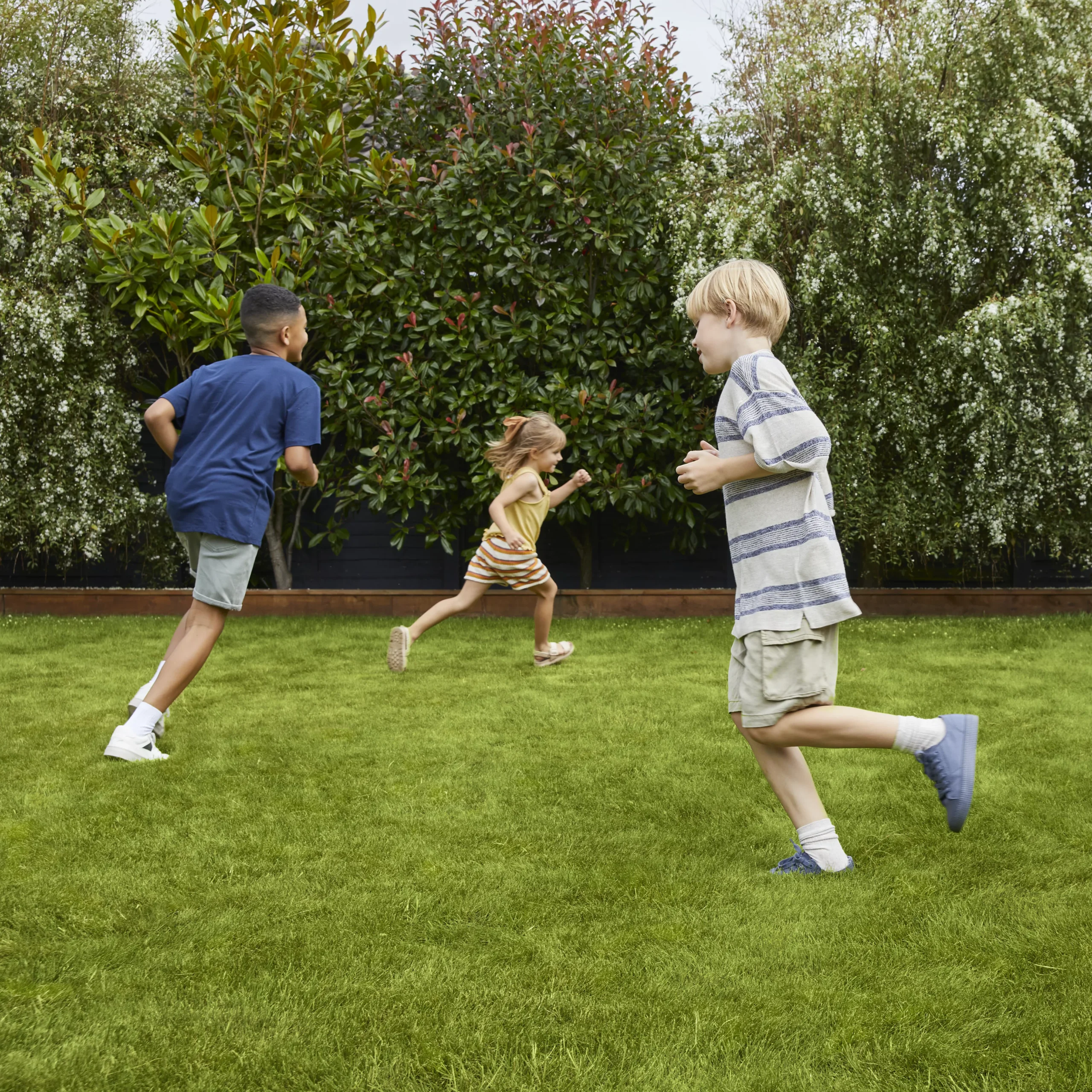 Verve Family & Sports Grass Seeds, 5kg - Image 2