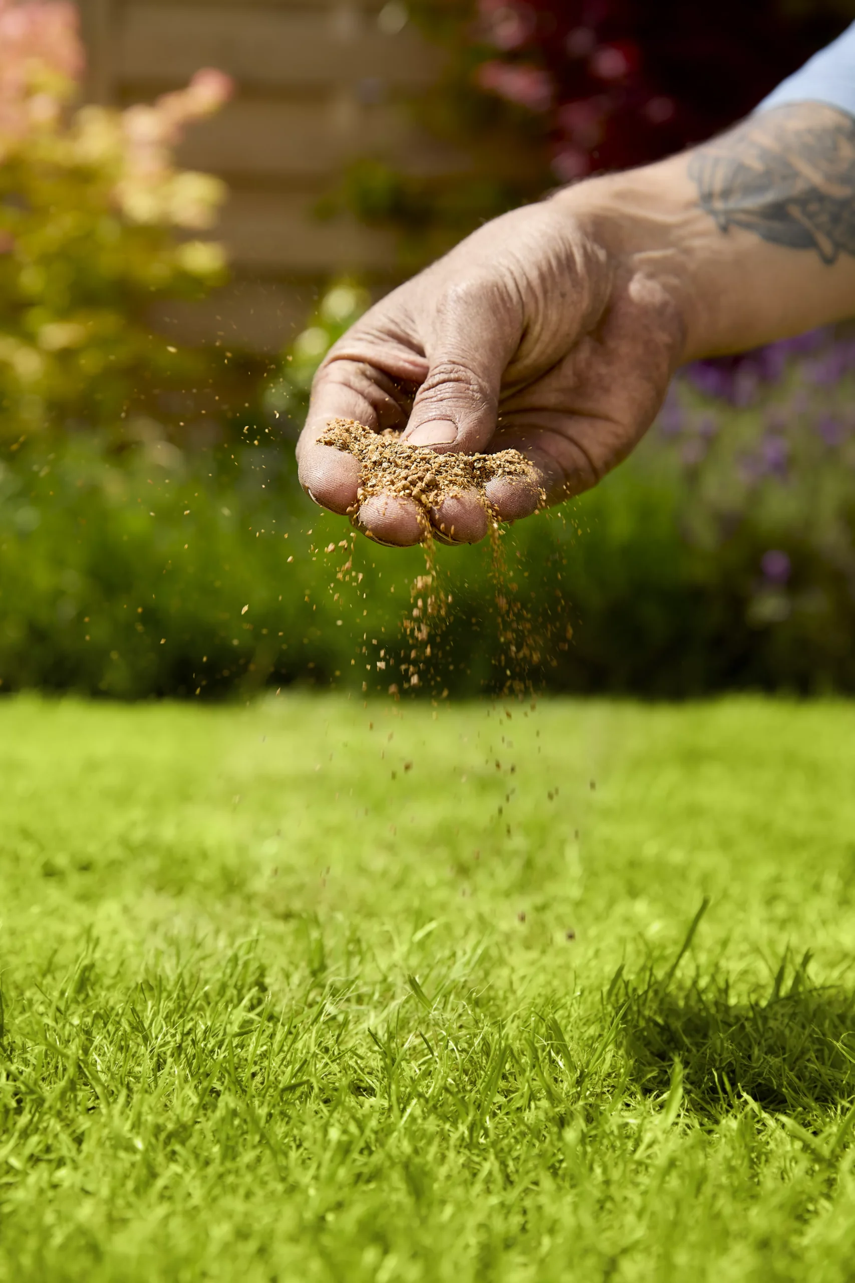 Verve Mamaterra Lawn Feed Granules 100m² 2.5kg - Image 3