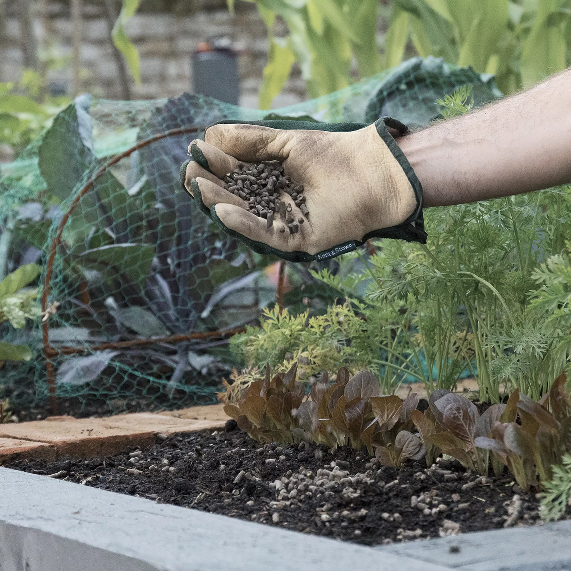 Westland Chicken Manure Pellets, 10kg - Image 2